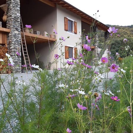 Semi Al Vento: La Bio-Casa Nel Giardino Incantato! Διαμέρισμα Paesana Εξωτερικό φωτογραφία