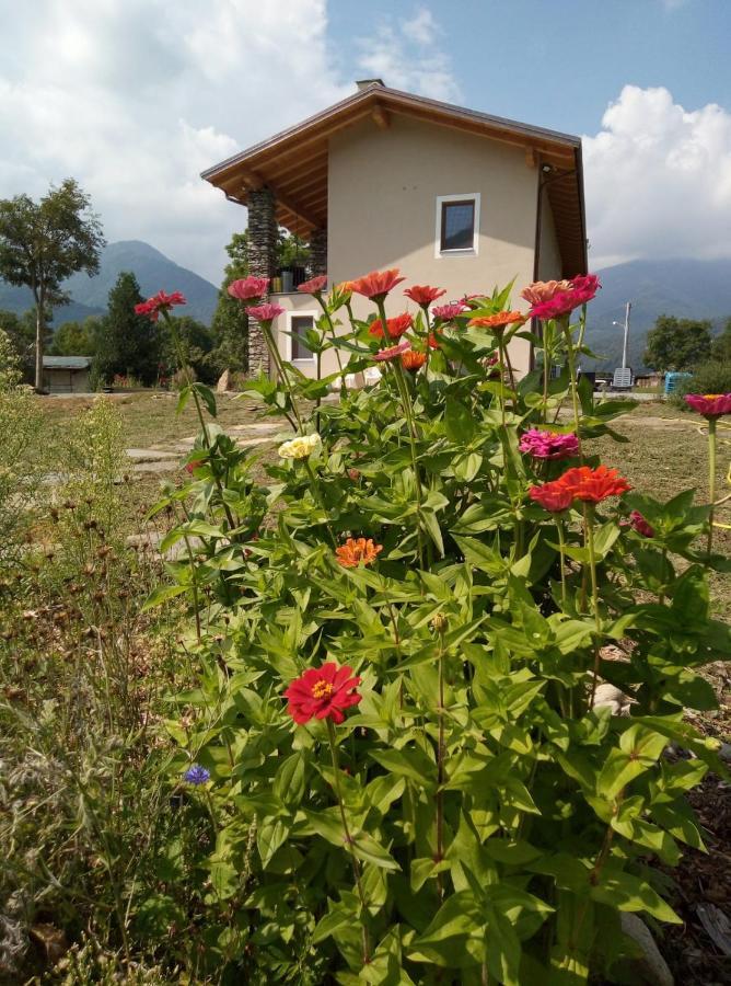 Semi Al Vento: La Bio-Casa Nel Giardino Incantato! Διαμέρισμα Paesana Εξωτερικό φωτογραφία