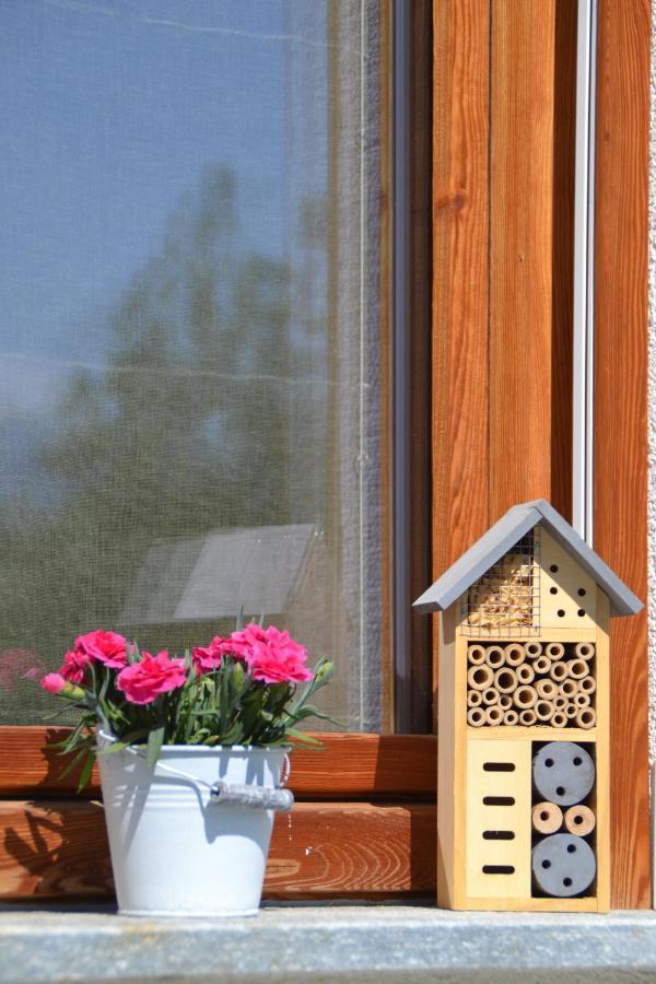 Semi Al Vento: La Bio-Casa Nel Giardino Incantato! Διαμέρισμα Paesana Εξωτερικό φωτογραφία