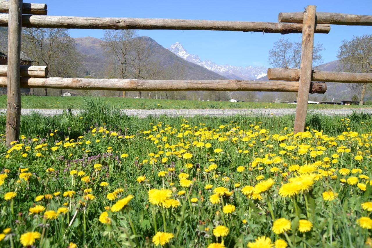Semi Al Vento: La Bio-Casa Nel Giardino Incantato! Διαμέρισμα Paesana Εξωτερικό φωτογραφία
