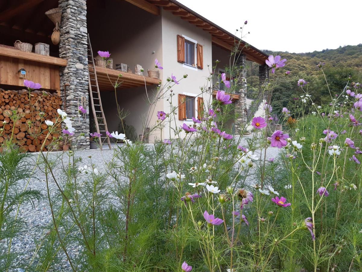 Semi Al Vento: La Bio-Casa Nel Giardino Incantato! Διαμέρισμα Paesana Εξωτερικό φωτογραφία
