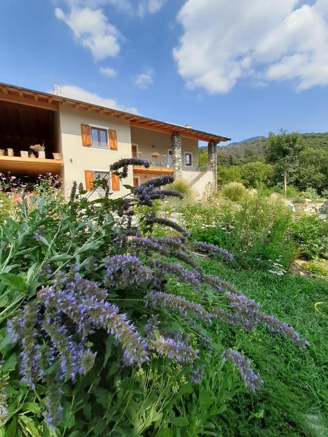 Semi Al Vento: La Bio-Casa Nel Giardino Incantato! Διαμέρισμα Paesana Εξωτερικό φωτογραφία