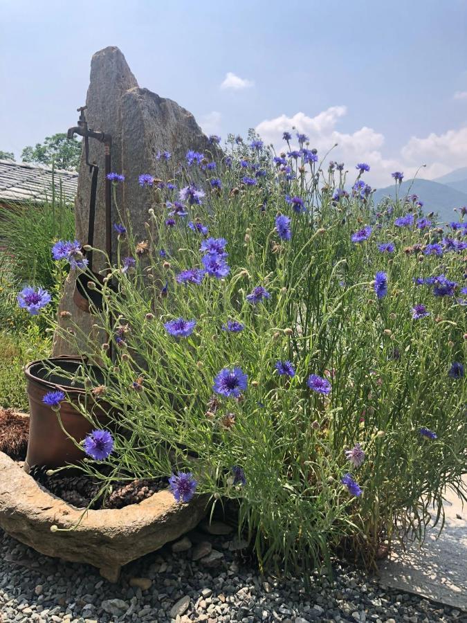 Semi Al Vento: La Bio-Casa Nel Giardino Incantato! Διαμέρισμα Paesana Εξωτερικό φωτογραφία