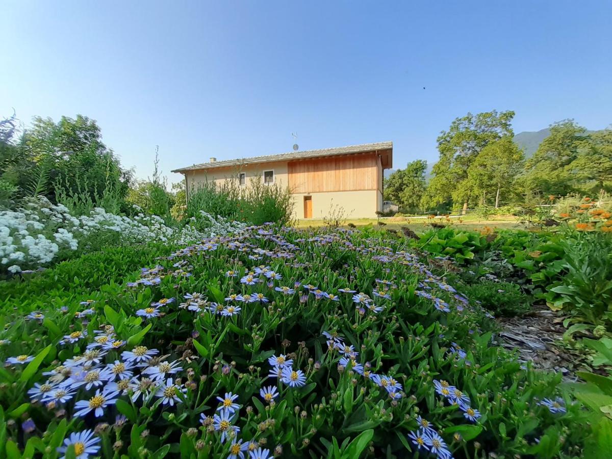 Semi Al Vento: La Bio-Casa Nel Giardino Incantato! Διαμέρισμα Paesana Εξωτερικό φωτογραφία
