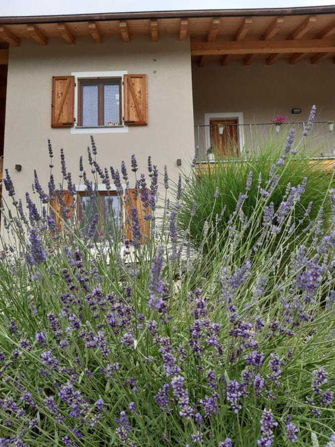 Semi Al Vento: La Bio-Casa Nel Giardino Incantato! Διαμέρισμα Paesana Εξωτερικό φωτογραφία