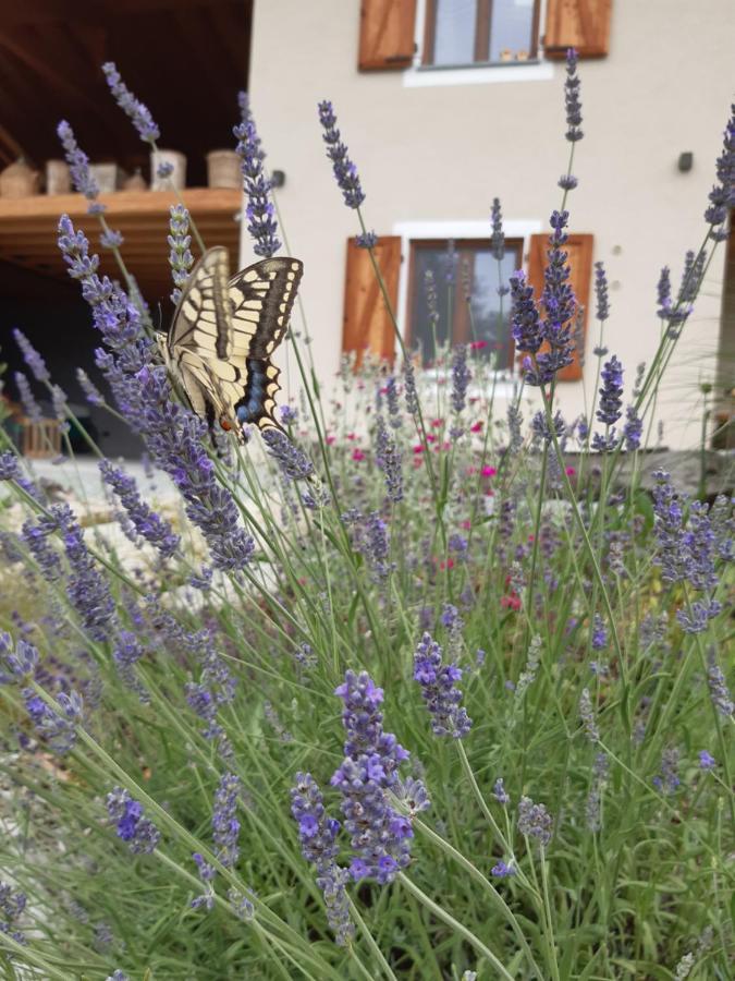 Semi Al Vento: La Bio-Casa Nel Giardino Incantato! Διαμέρισμα Paesana Εξωτερικό φωτογραφία